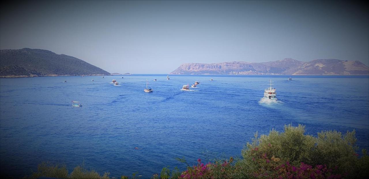 Cakil Pansiyon Bed & Breakfast Kaş Exterior photo